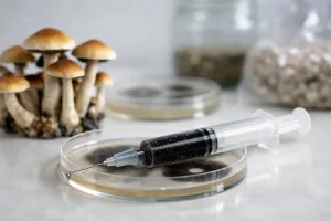 Golden Teacher Spore Syringe Review for Collectors